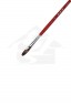 XDT Quality Brush: 6106 Kolinsky Filbert 6
