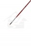 XDT Quality Brush: 6106 Kolinsky Filbert 2