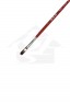 XDT Quality Brush: 6106 Kolinsky Filbert 3