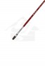 XDT Quality Brush: 6106 Kolinsky Filbert 4