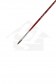 XDT Quality Brush: 6106 Kolinsky Filbert 1