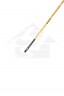 XDT Quality Brush: 6386 Mongoose Filbert 1