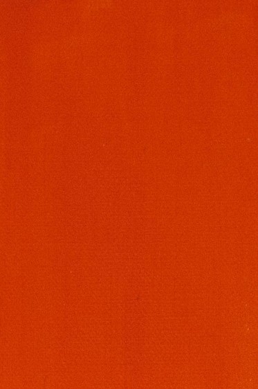 Maimeri Acrilico Acrylic: Permanent Orange 200ml