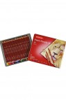 Derwent Rexel Pastel Pencil 24 Colors Set