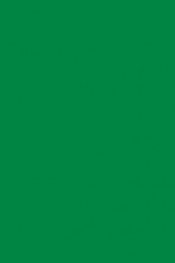 Berkeley Face Paint: Green 60ml