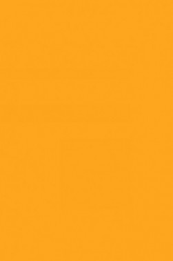 Berkeley Face Paint: Orange 60ml