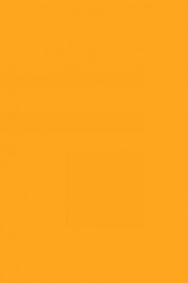 Berkeley Face Paint: Orange 60ml