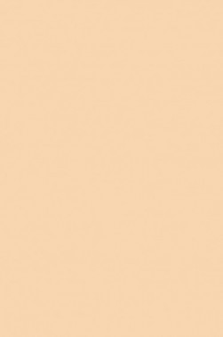 Berkeley Face Paint: Flesh 60ml