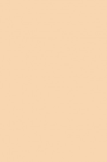 Berkeley Face Paint: Flesh 60ml