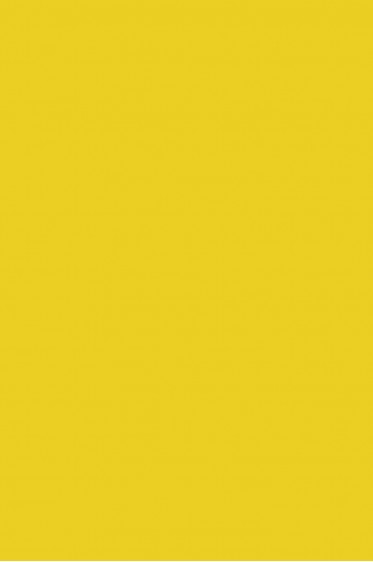 Picasso Acrylic Color: 215 Lemon Yellow 75ml