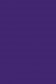 Picasso Acrylic Color: 430 Violet 75ml