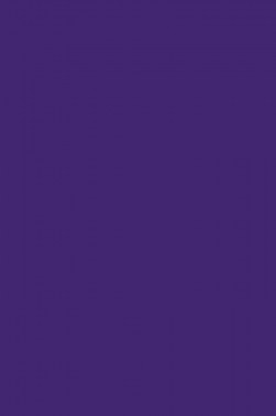 Picasso Acrylic Color: 430 Violet 75ml