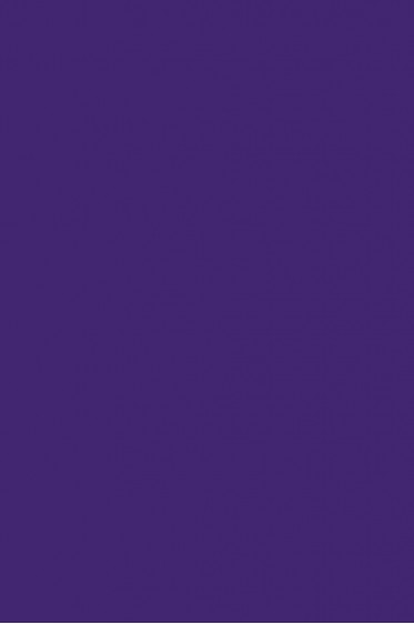 Picasso Acrylic Color: 430 Violet 75ml