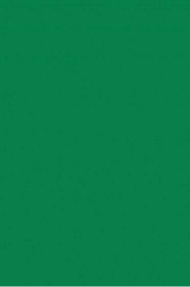 Picasso Acrylic Color: 505 Green Mid 75ml