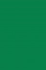 Picasso Acrylic Color: 505 Green Mid 75ml