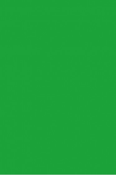 Picasso Acrylic Color: 503 Light Green 75ml
