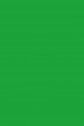 Picasso Acrylic Color: 503 Light Green 75ml