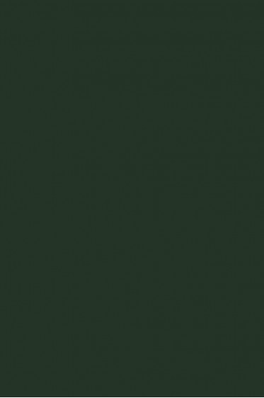 Picasso Acrylic Color: 558 Phthalo Green 75ml