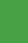 Picasso Acrylic Color: 559 Emerald Green 75ml