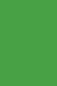 Picasso Acrylic Color: 559 Emerald Green 75ml