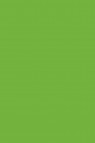 Picasso Acrylic Color: 562 Yellow Green 75ml