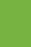 Picasso Acrylic Color: 562 Yellow Green 75ml