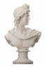 Wooden Mannequin & Models: Apollo Statue Model