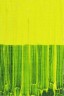 Kulay Acrylic Colors: Fluorescent Yellow 50ml