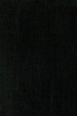 Maimeri Acrilico Acrylic: Sap Green 500ml