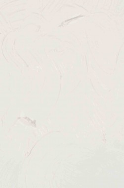 Gamblin Artist Oil: Titanium White 237ml