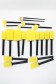 Berkeley Brush:  Sponge Paint Brush Set 20's