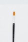Berkeley Brush: 778NGF Flat 9