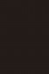 Pebeo Studio Acrylic: 29 Burnt Umber 100ml