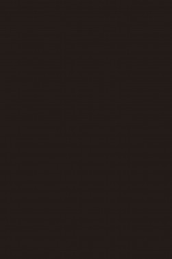 Pebeo Studio Acrylic: Burnt Umber 29 500ml