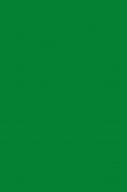Pebeo Studio Acrylic: Cadmium Green Hue Imitation 43 500ml