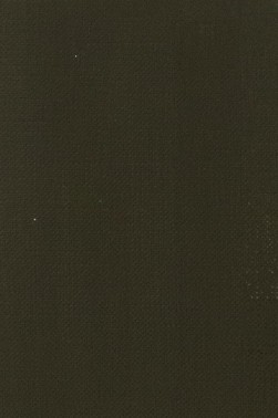 Maimeri Acrilico Acrylic: Verdaccio  500ml