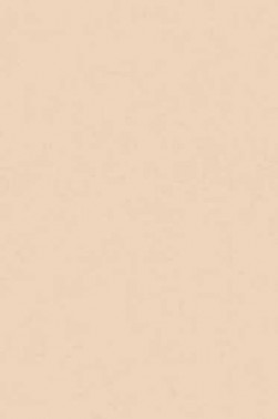 Art Spectrum: Colourfix Original 340gsm Australian Grey 50cm x 70cm SHEET