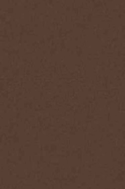 Art Spectrum: Colourfix Original 340gsm Burnt Umber 50cm x 70cm SHEET