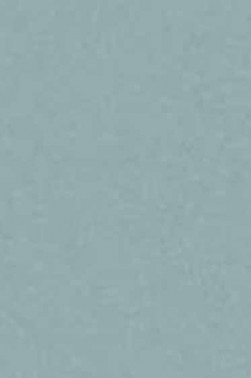 Art Spectrum: Colourfix Original 340gsm Fresh Grey  50cm x 70cm SHEET