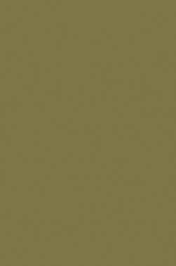 Art Spectrum: Colourfix Original 340gsm Olive Grey 50cm x 70cm SHEET