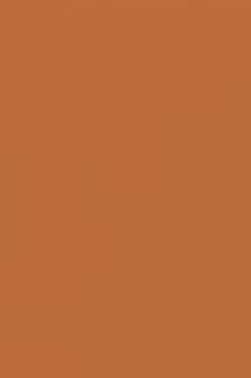 Art Spectrum: Colourfix Original 340gsm Raw Sienna 50cm x 70cm SHEET