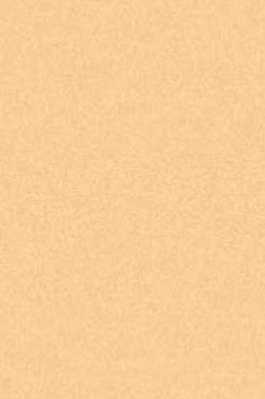 Art Spectrum: Colourfix Original 340gsm Rich Beige 50cm x 70cm SHEET