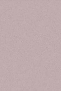 Art Spectrum: Colourfix Original 340gsm Rose Grey  50cm x 70cm SHEET