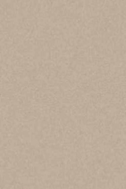 Art Spectrum: Colourfix Original 340gsm  Soft Umber  50cm x 70cm SHEET