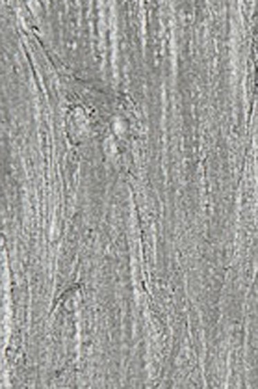 Grumbacher Academy Acrylic: Phthalo Silver 90ml