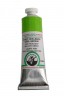Old Holland Classic Oil Colours: Old Holland Yellow Green 40ml