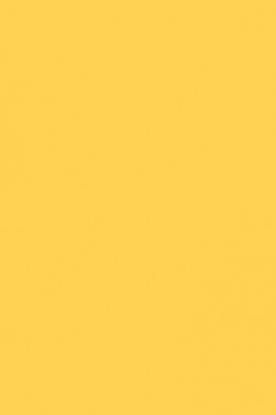 Art Spectrum: Prisma Favini 220gsm Giallo 20 50cm x 65cm SHEET