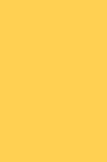 Art Spectrum: Prisma Favini 220gsm Giallo 20 50cm x 65cm SHEET