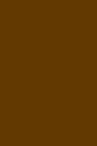Art Spectrum: Prisma Favini 220gsm Caffe 07 50cm x 65cm SHEET