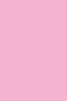 Art Spectrum: Prisma Favini 220gsm Rosa 31 50cm x 65cm SHEET